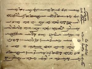 J2_Y-28 Y 28.0 in manuscript J2